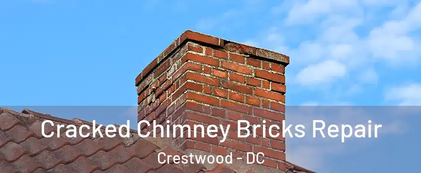 Cracked Chimney Bricks Repair Crestwood - DC