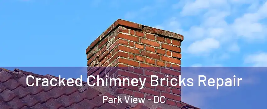 Cracked Chimney Bricks Repair Park View - DC