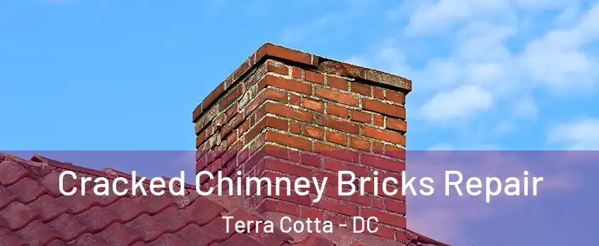 Cracked Chimney Bricks Repair Terra Cotta - DC
