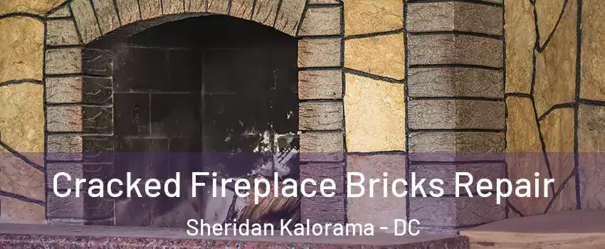 Cracked Fireplace Bricks Repair Sheridan Kalorama - DC