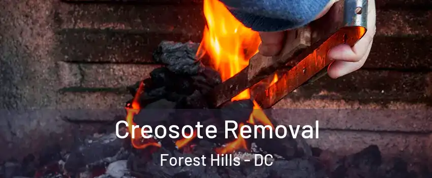 Creosote Removal Forest Hills - DC
