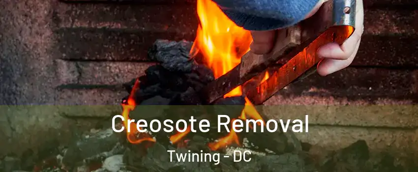 Creosote Removal Twining - DC