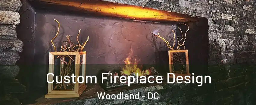 Custom Fireplace Design Woodland - DC