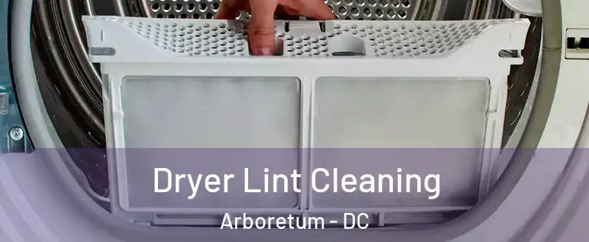 Dryer Lint Cleaning Arboretum - DC