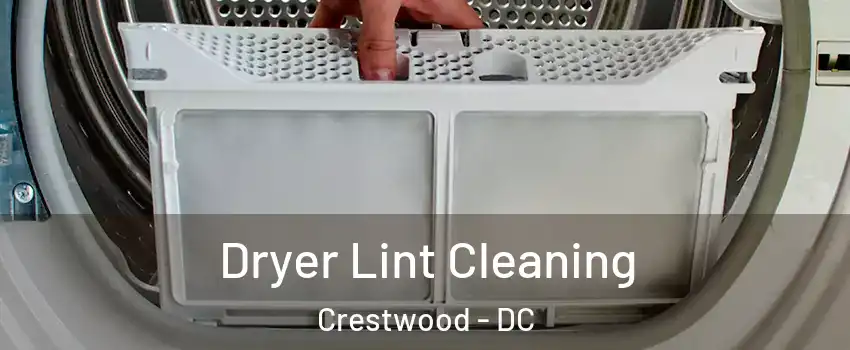 Dryer Lint Cleaning Crestwood - DC