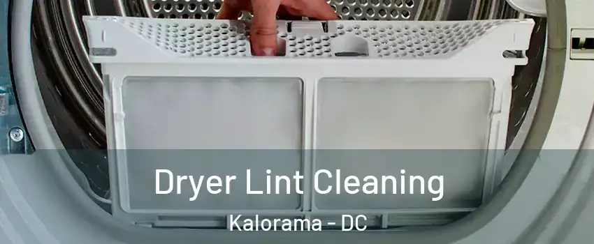 Dryer Lint Cleaning Kalorama - DC