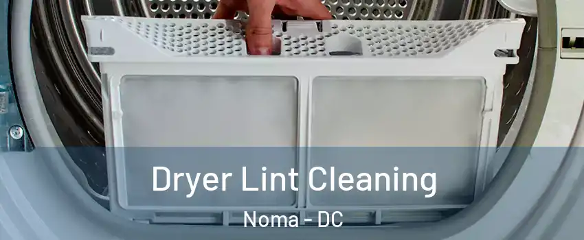 Dryer Lint Cleaning Noma - DC