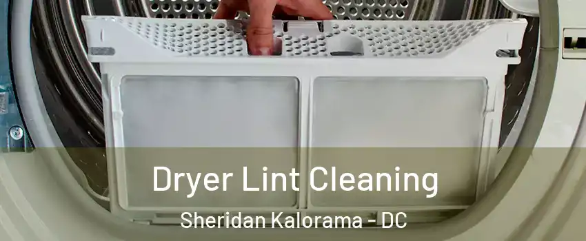 Dryer Lint Cleaning Sheridan Kalorama - DC