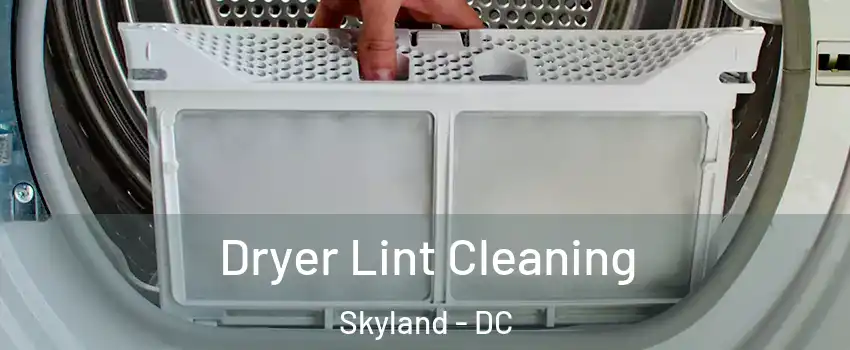Dryer Lint Cleaning Skyland - DC