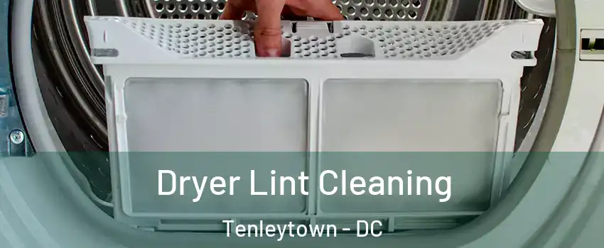 Dryer Lint Cleaning Tenleytown - DC