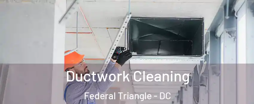 Ductwork Cleaning Federal Triangle - DC