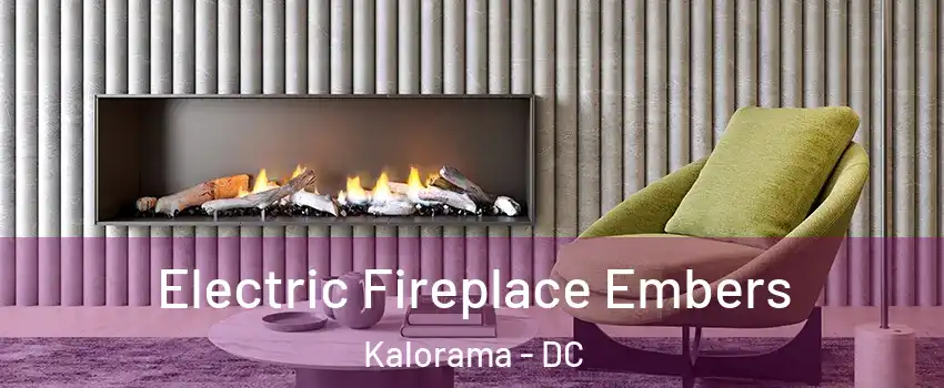 Electric Fireplace Embers Kalorama - DC