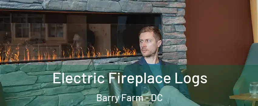 Electric Fireplace Logs Barry Farm - DC