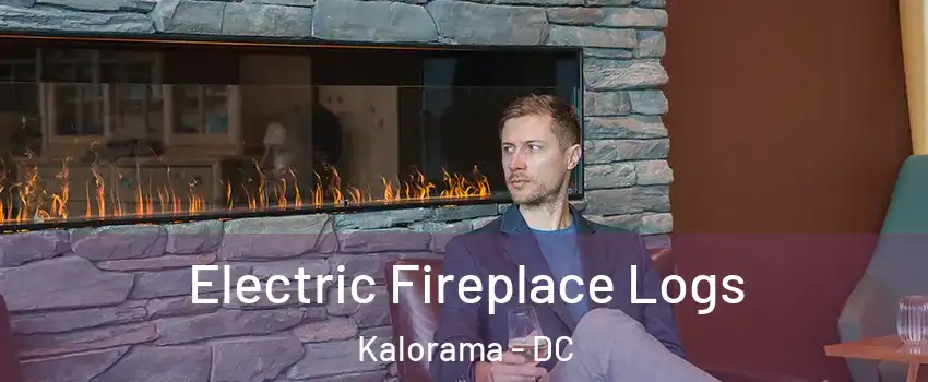Electric Fireplace Logs Kalorama - DC