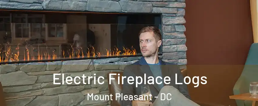 Electric Fireplace Logs Mount Pleasant - DC