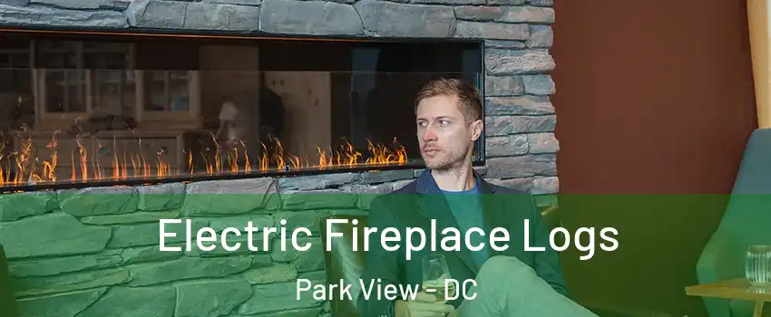 Electric Fireplace Logs Park View - DC
