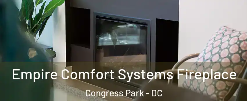 Empire Comfort Systems Fireplace Congress Park - DC