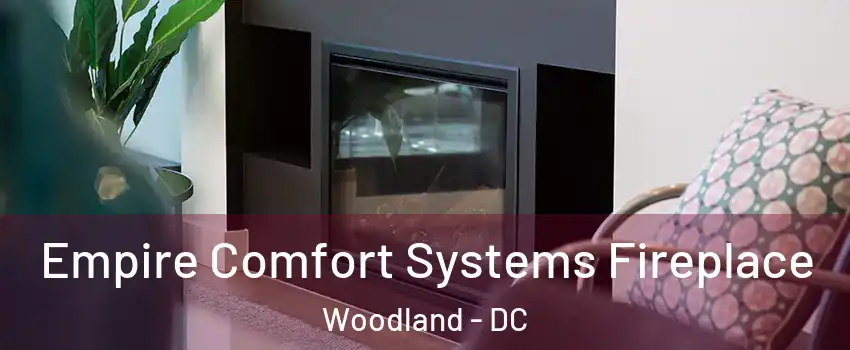 Empire Comfort Systems Fireplace Woodland - DC