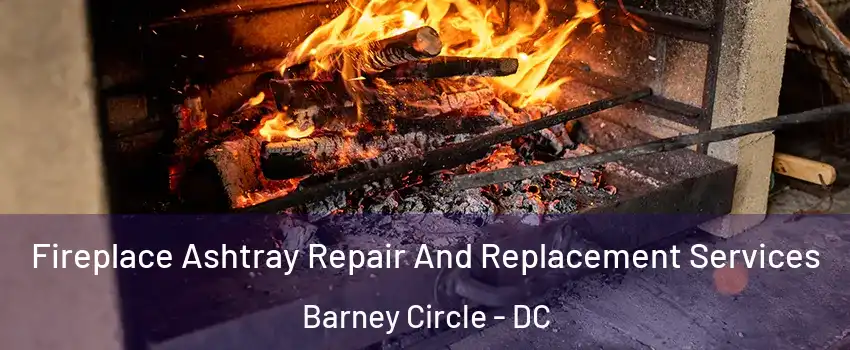 Fireplace Ashtray Repair And Replacement Services Barney Circle - DC