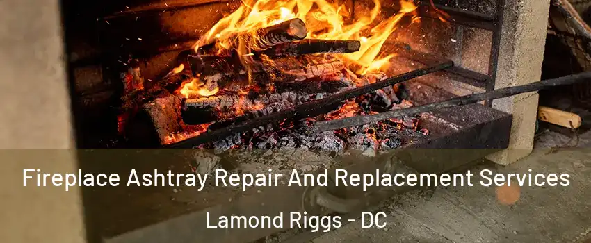 Fireplace Ashtray Repair And Replacement Services Lamond Riggs - DC