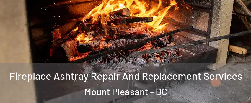 Fireplace Ashtray Repair And Replacement Services Mount Pleasant - DC