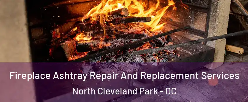 Fireplace Ashtray Repair And Replacement Services North Cleveland Park - DC