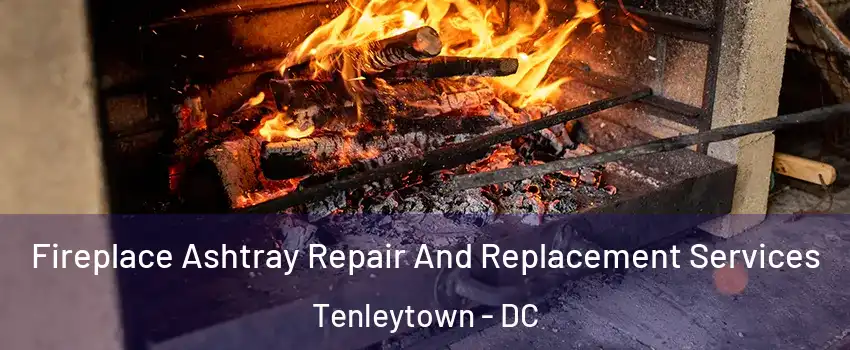 Fireplace Ashtray Repair And Replacement Services Tenleytown - DC