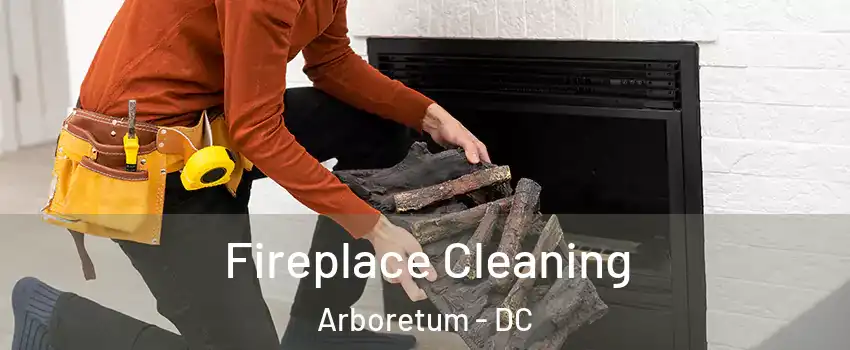 Fireplace Cleaning Arboretum - DC