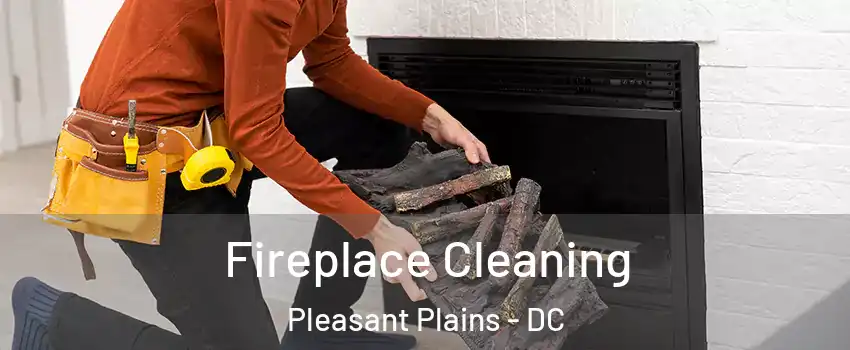 Fireplace Cleaning Pleasant Plains - DC