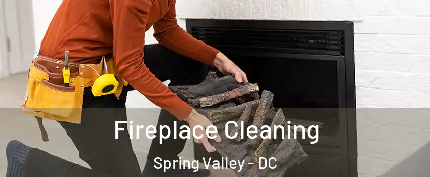 Fireplace Cleaning Spring Valley - DC