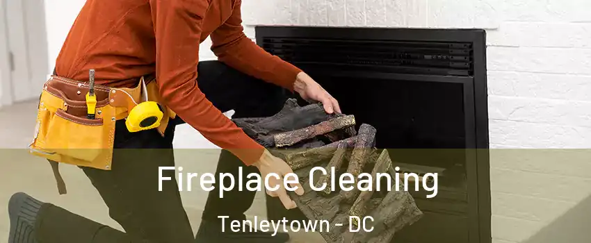 Fireplace Cleaning Tenleytown - DC