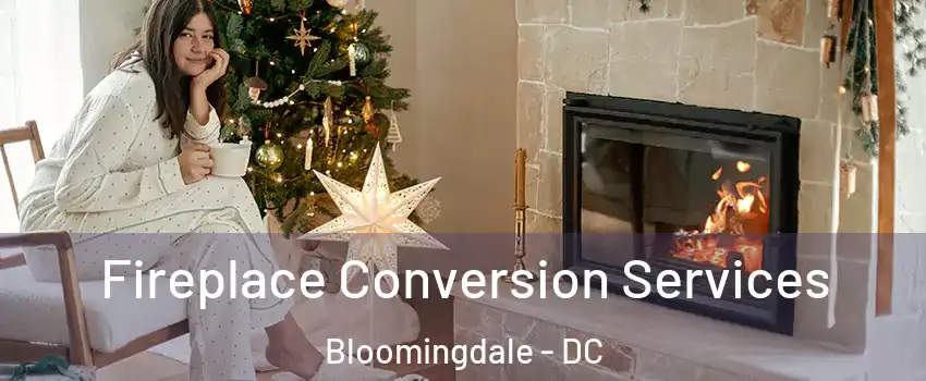 Fireplace Conversion Services Bloomingdale - DC