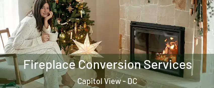 Fireplace Conversion Services Capitol View - DC