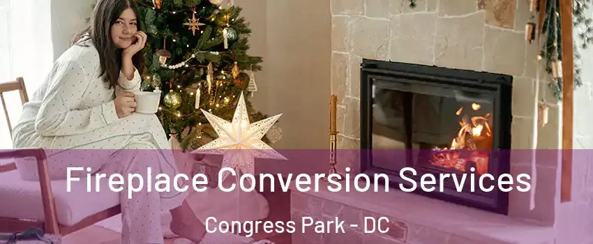 Fireplace Conversion Services Congress Park - DC