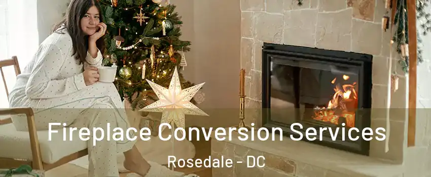 Fireplace Conversion Services Rosedale - DC