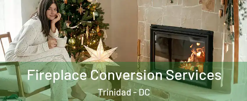 Fireplace Conversion Services Trinidad - DC