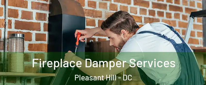 Fireplace Damper Services Pleasant Hill - DC