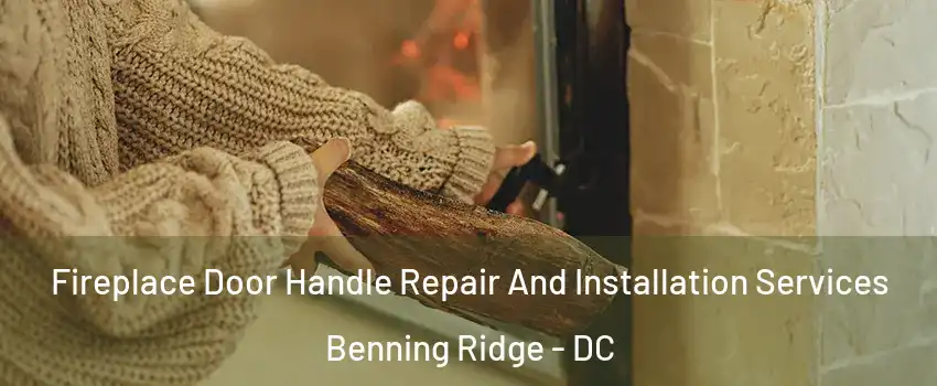 Fireplace Door Handle Repair And Installation Services Benning Ridge - DC