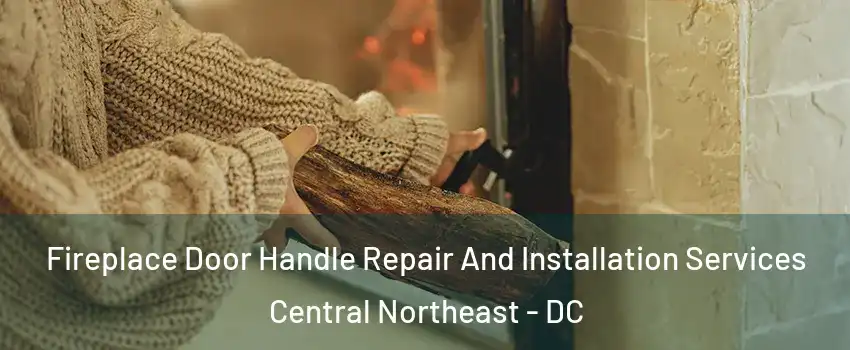 Fireplace Door Handle Repair And Installation Services Central Northeast - DC