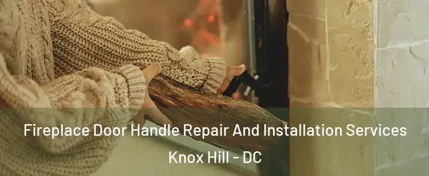 Fireplace Door Handle Repair And Installation Services Knox Hill - DC