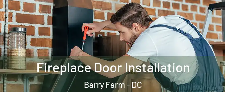 Fireplace Door Installation Barry Farm - DC