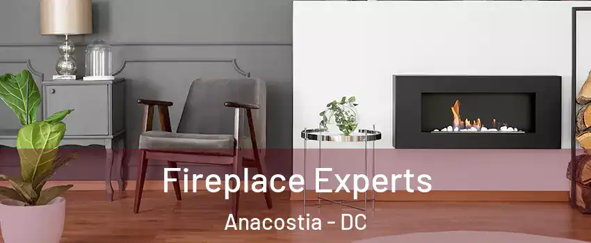 Fireplace Experts Anacostia - DC