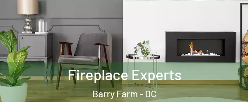 Fireplace Experts Barry Farm - DC