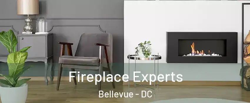 Fireplace Experts Bellevue - DC