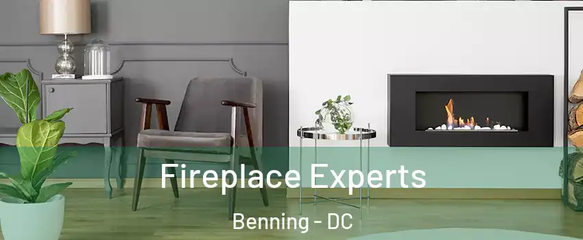Fireplace Experts Benning - DC