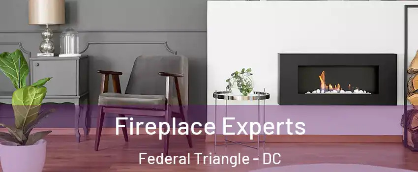 Fireplace Experts Federal Triangle - DC