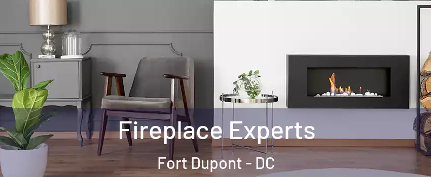 Fireplace Experts Fort Dupont - DC