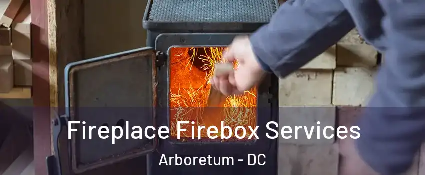 Fireplace Firebox Services Arboretum - DC