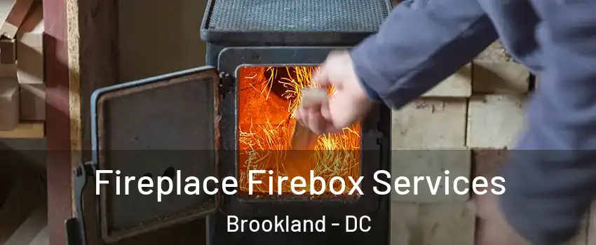 Fireplace Firebox Services Brookland - DC