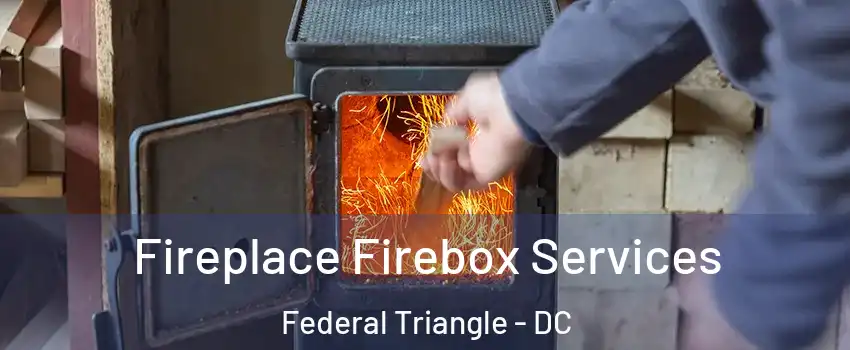 Fireplace Firebox Services Federal Triangle - DC